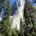 Below the mighty El Cap