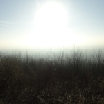 From Sunrise Mountain
