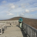 High Point