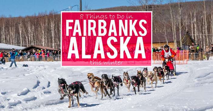 8 Things to Do in Fairbanks Alaska in the Winter