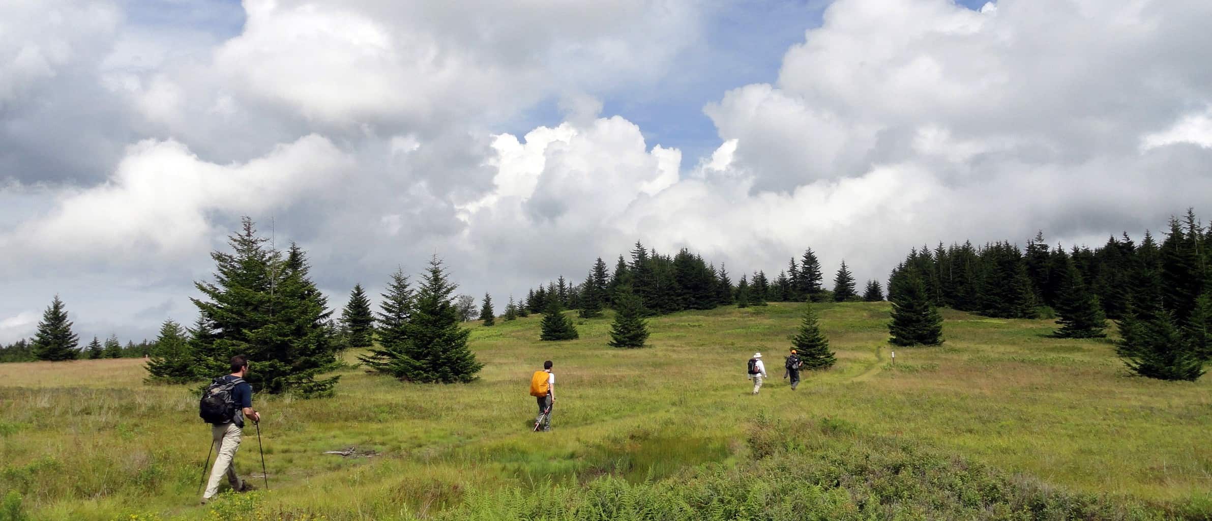 Backpacking through Bogs and Blueberries: 18 Miles in Dolly Sods North