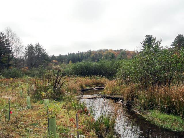 allegheny front trail backpacking in pennsylvania