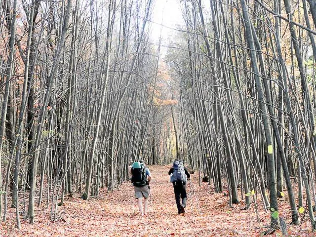 allegheny front trail backpacking in pennsylvania