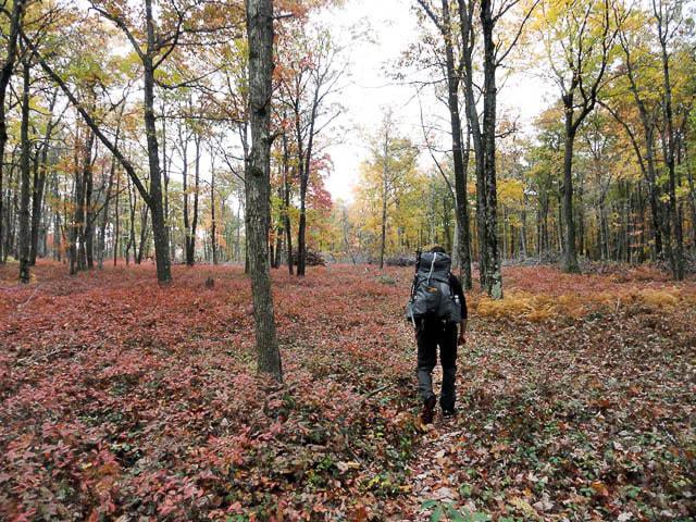 allegheny front trail backpacking in pennsylvania