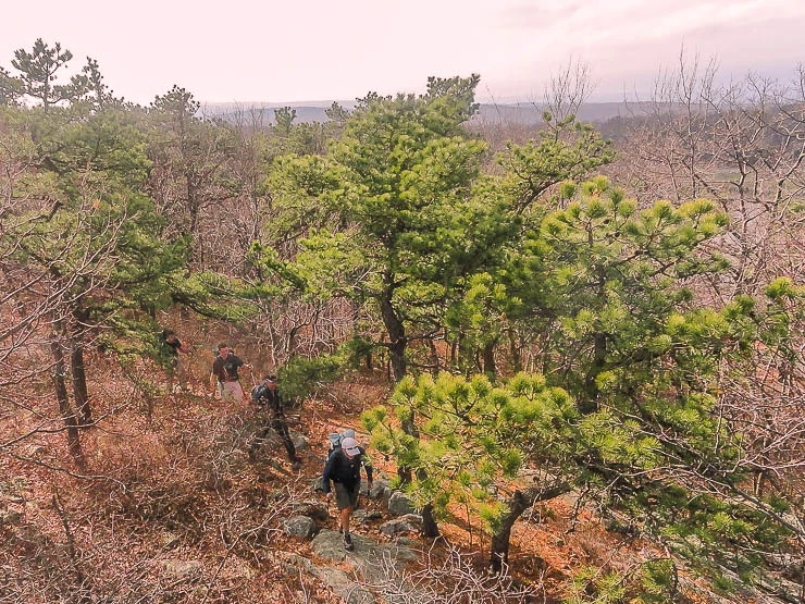 Backpacking Across New Jersey: Delaware Water Gap to High Point (45 miles) trip-reports, new-jersey, backpacking