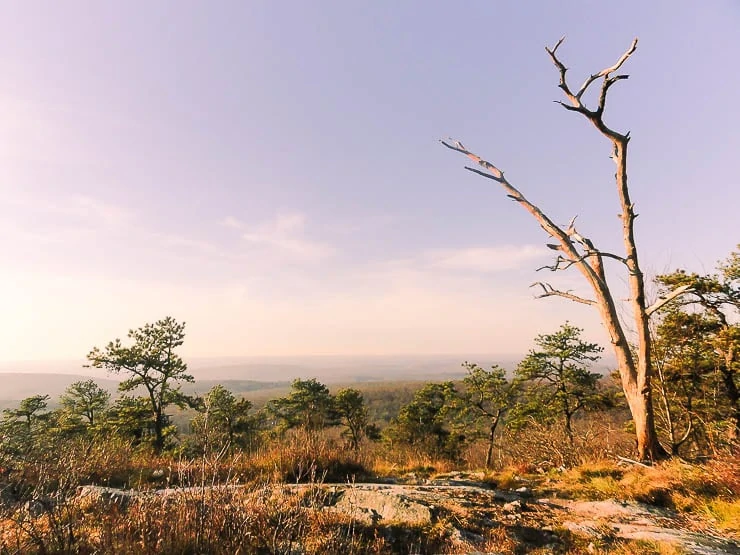 Backpacking Across New Jersey: Delaware Water Gap to High Point (45 miles) trip-reports, new-jersey, backpacking