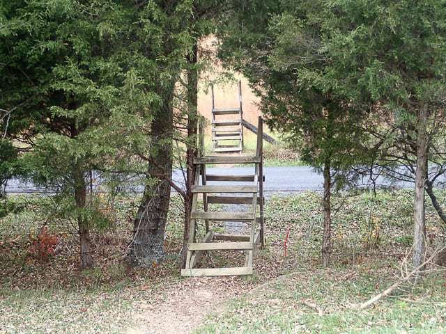 Ladders to cross fences on the Virginia Triple Crown