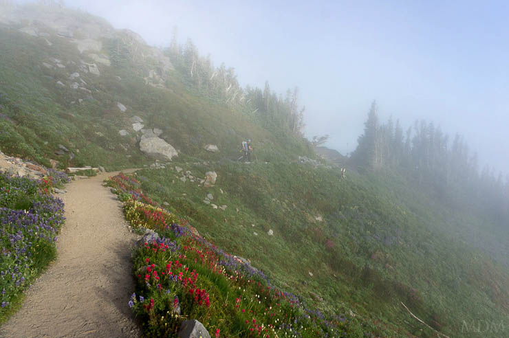 Climbing Mount Rainier via the Kautz Glacier Route washington, trip-reports, alpine
