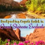 Backpacking Coyote Gulch in Grand Staircase Escalante utah, trip-reports, backpacking