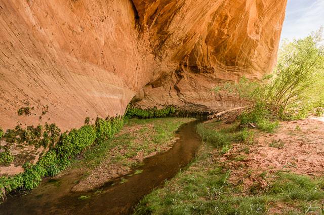 The stream is just starting - Backpacking Coyote Gulch in Grand Staircase Escalante