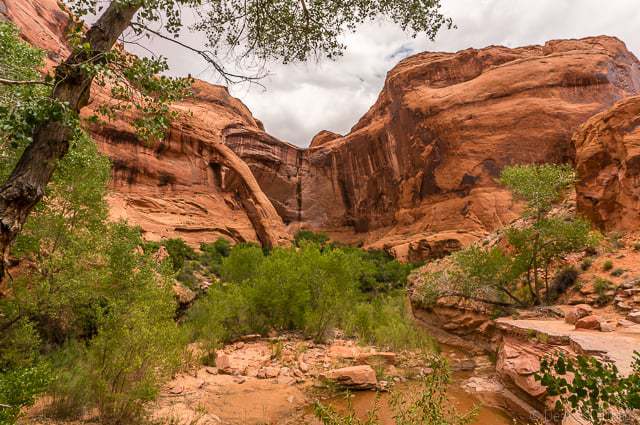 Cliff Arch along Coyote Gulch - Backpacking Coyote Gulch in Grand Staircase Escalante