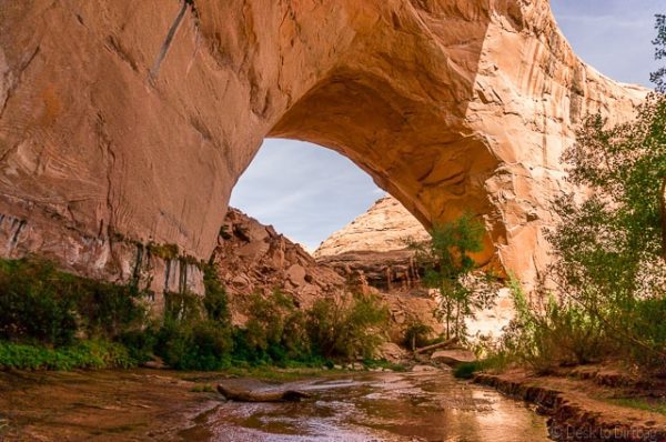 Backpacking Coyote Gulch in Grand Staircase-Escalante - Coyote Gulch GranD Staircase Escalante 3 600x398