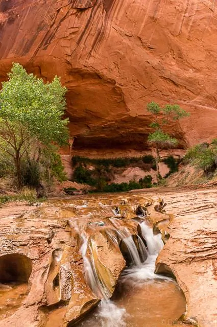 The stream becomes more interesting all the time - Backpacking Coyote Gulch in Grand Staircase Escalante