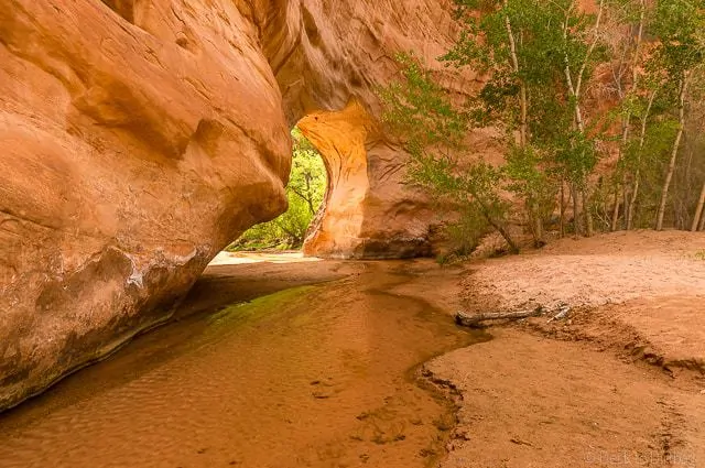 Such incredible scenery along every turn in Coyote Gulch - Backpacking Coyote Gulch in Grand Staircase Escalante