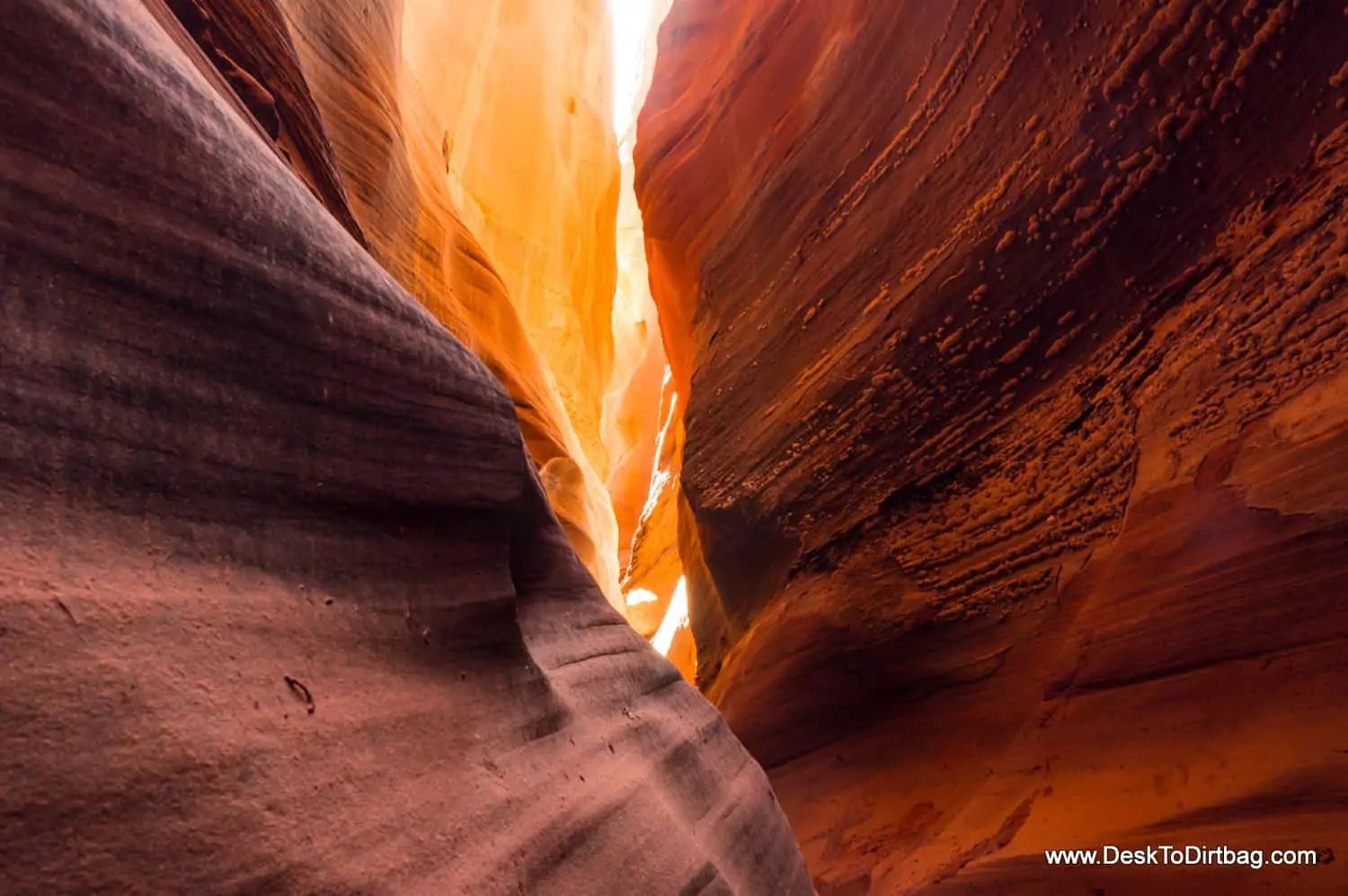 Brimstone Gulch, a slot canyon in Grand Staircase Escalanate, Utah.