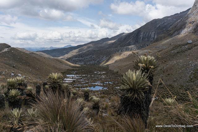 Frailejones and lagoons. - Sierra Nevada del Cocuy Colombia