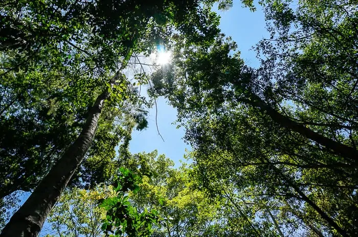 Camping in Colombia's Rio Claro Nature Reserve travel, south-america, colombia