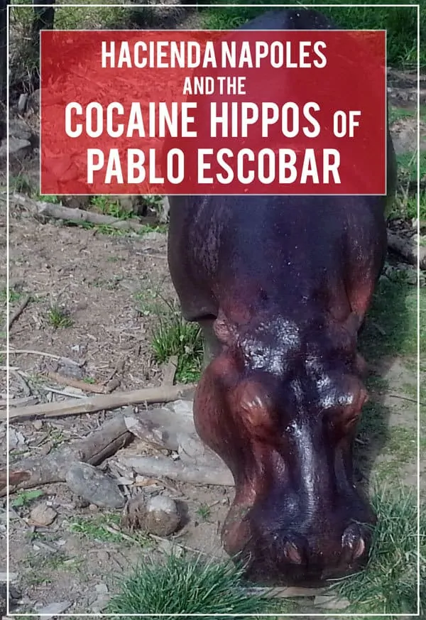 A visit to Hacienda Napoles today, the former estate of Pablo Escobar, turned theme park, safari, and water park, and a glimpse into Colombia's dark past.