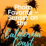 Photo Favorite – Sunset on the California Coast photography