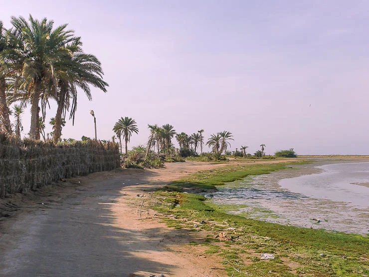 Riding a Motorcycle into a Sandstorm on the Red Sea: Yemen Travel Stories travel, featured