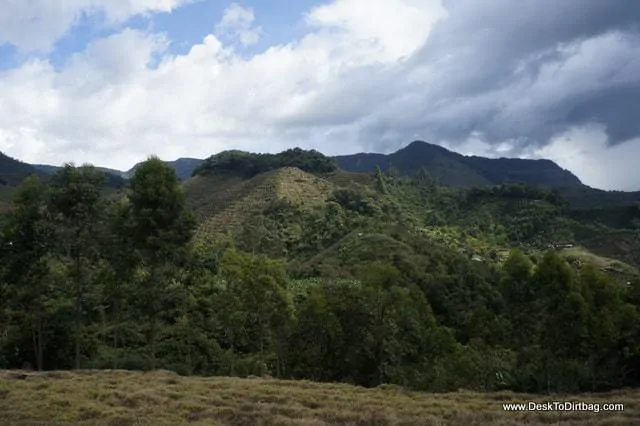 The terraced coffee hills surrounding town.