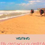 Visiting Palomino Colombia: Pirates, Rabid Cats, and River Floating colombia