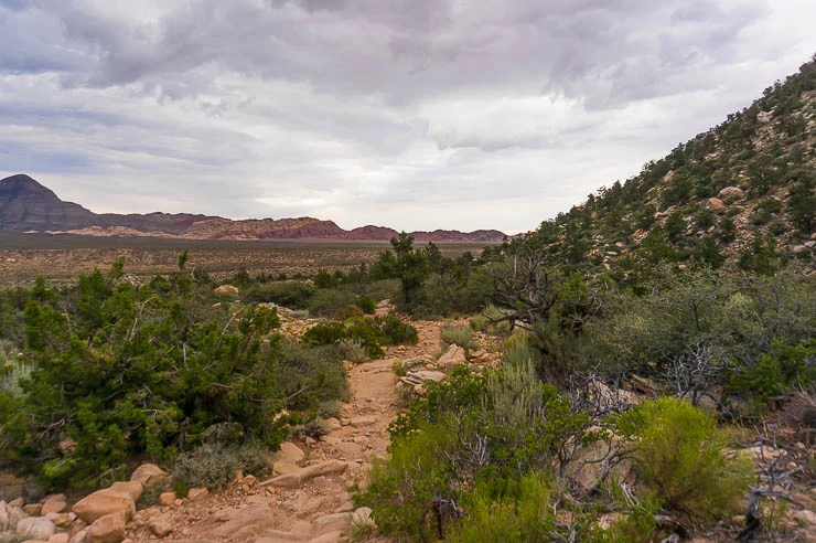 A Guide to Visiting Red Rock Canyon in Las Vegas, Nevada travel, outdoors, north-america, nevada