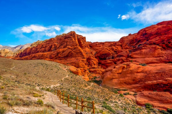 red rock canyon tour from las vegas