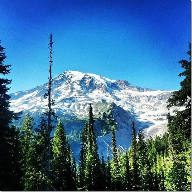 Don't miss Paradise at Mount Rainier - 49 Places to Visit on the Ultimate West Coast Road Trip