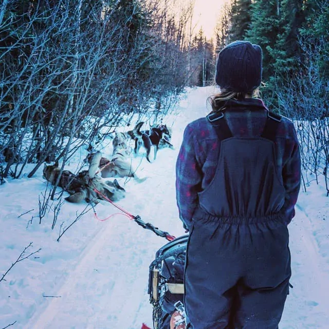 Dog sledding in Alaska