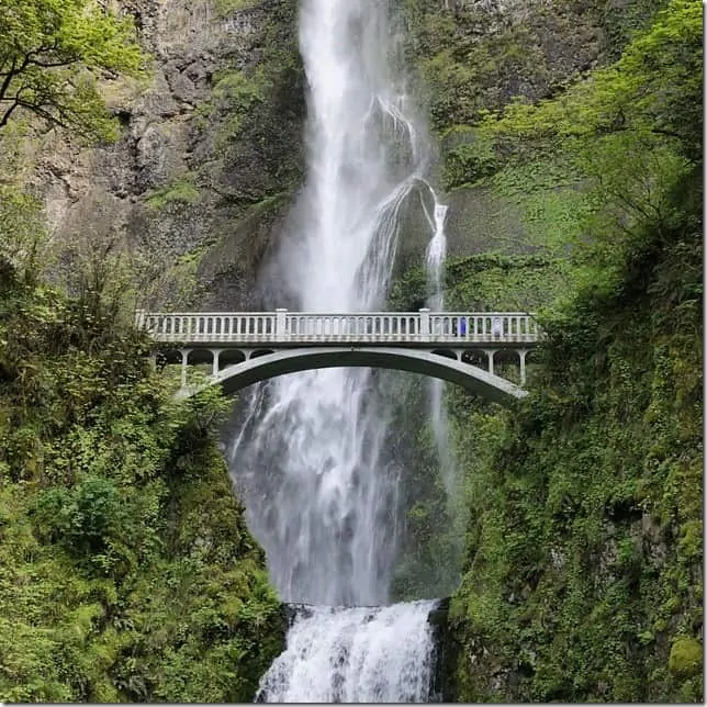 Multnomah Falls along the Columbia River Gorge - 49 Places to Visit on the Ultimate West Coast Road Trip