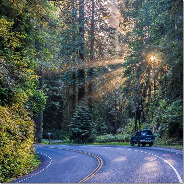 Drive through the redwood forests of Northern California - 49 Places to Visit on the Ultimate West Coast Road Trip