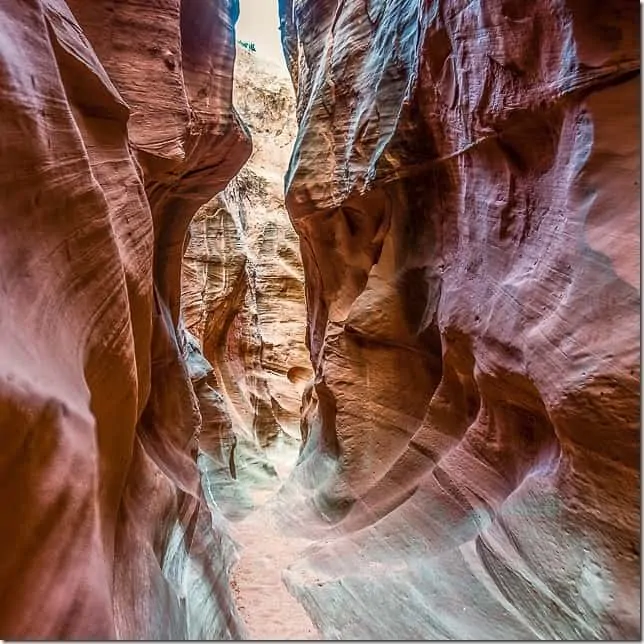 Shimmy your way through slot canyons in Grand Staircase Escalante Utah - 49 Places to Visit on the Ultimate West Coast Road Trip