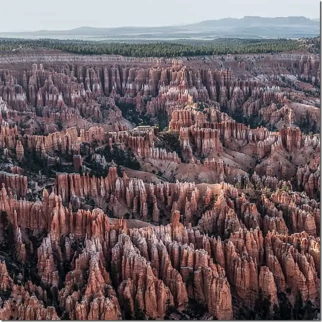 See the glow of the hoodoos in Bryce Canyon National Park - 49 Places to Visit on the Ultimate West Coast Road Trip