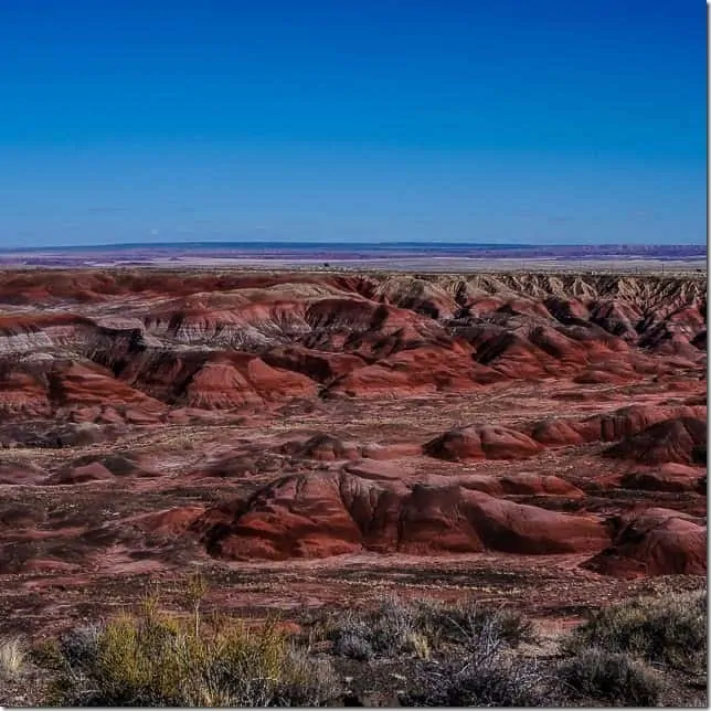 Explore the Painted Hills in Petrified Forest National Park Arizona - 49 Places to Visit on the Ultimate West Coast Road Trip
