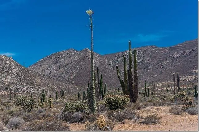 baja california north-6