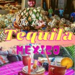The Town of Tequila and the La Cofradia Factory Tour mexico, featured, central-america