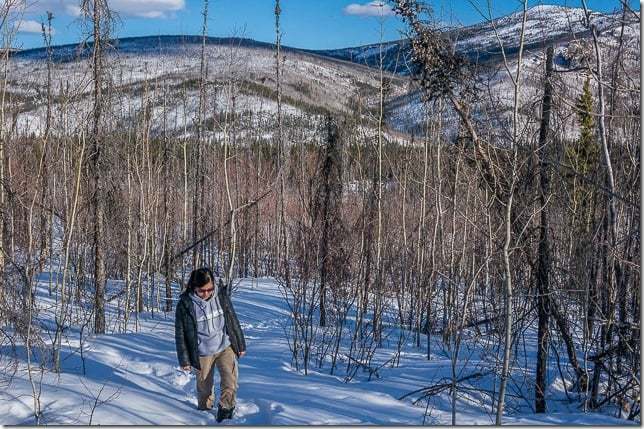 Chasing the Fairbanks Northern Lights: A Truly Incredible Sight in Alaska