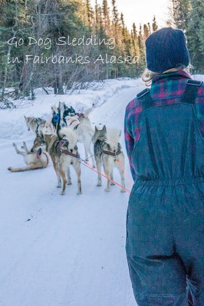 8 Things to do in Fairbanks Alaska this winter