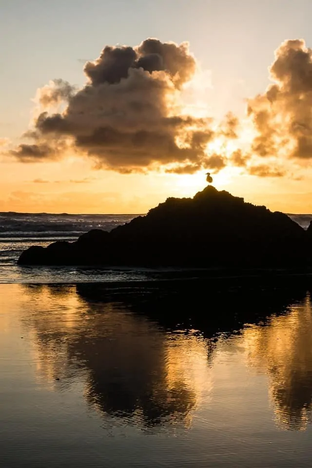 Oregon's Highway 101 - One of the 15 Most Scenic Drives in America