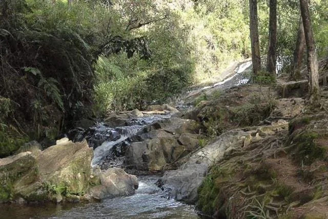 Parque Arví 2 - cosas para hacer en Medellín