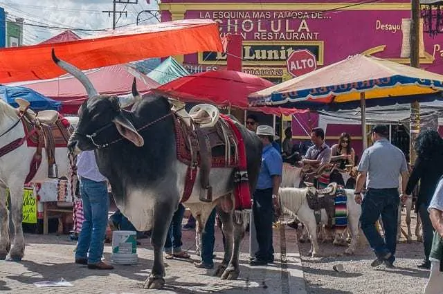 cholula mexico-6