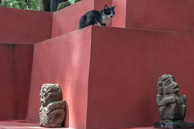 Museo Frida y Diego - que hacer en la Ciudad de México