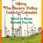 Hiking the Cocora Valley - What to Know Before You Go travel, south-america, colombia