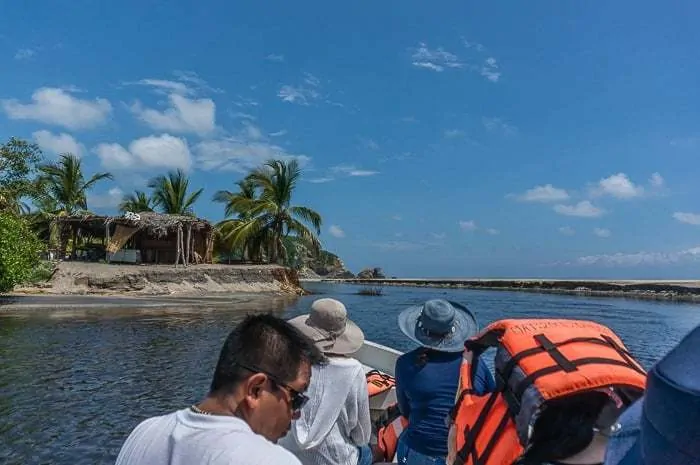 La Ventanilla Mangrove Tour Mexico