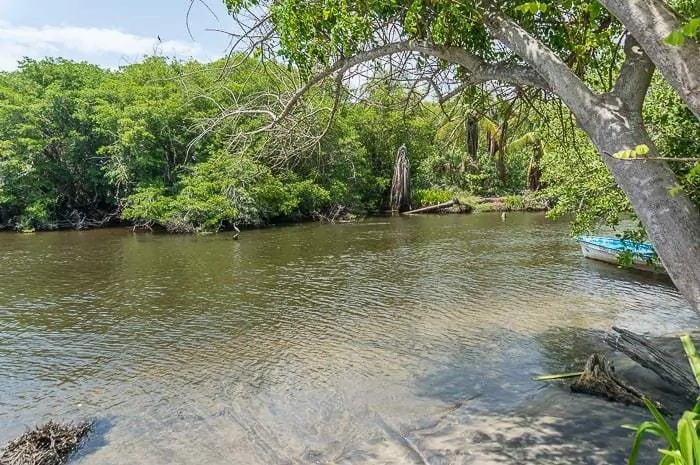 La Ventanilla Mangrove Tour Mexico