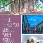 Three Things You Must Do When Visiting Oaxaca Mexico travel, mexico, central-america