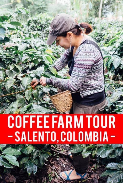 coffee tours from salento