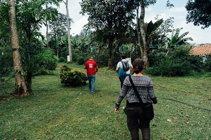 El Ocaso Coffee Farm Tour Salento Colombia