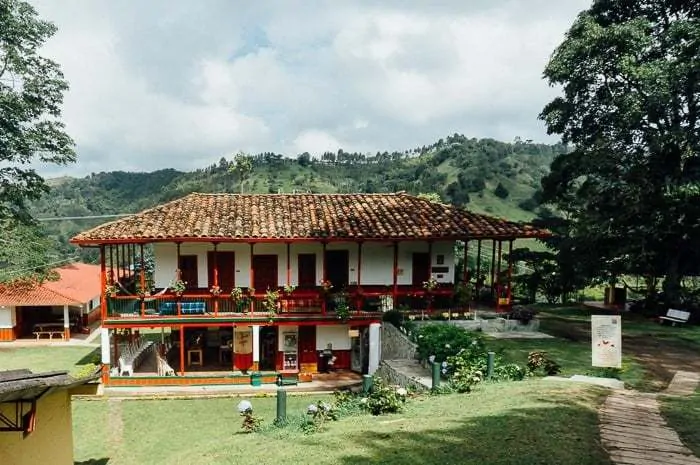El Ocaso Coffee Farm Tour Salento Colombia